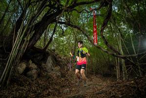 BIB: 
                            <button type="button" onclick="openModal(22177408)" class="btn btn-primary btn-sm float-right btn-popup" data-toggle="modal" data-target=".modal-high-quality">
                        <i class="fas fa-shopping-cart"></i> Add to Cart
                    </button>
                                            <button type="button" onclick="isThisMe(22177408, true)" class="btn btn-success btn-sm float-right btn-popup btn-isme hidden" data-toggle="tooltip" data-placement="bottom" title="นี่คือรูปของคุณใช่ไหม คลิกที่นี่เพื่อเอาเข้าอัลบั้ม">
                        <i class="fas fa-plus"></i> Add to album
                    </button>
                    <button type="button" onclick="isThisMe(22177408, false)" class="btn btn-warning btn-sm float-right btn-popup btn-isnotme hidden">
                        <i class="fas fa-ban"></i> Remove from album
                    </button>